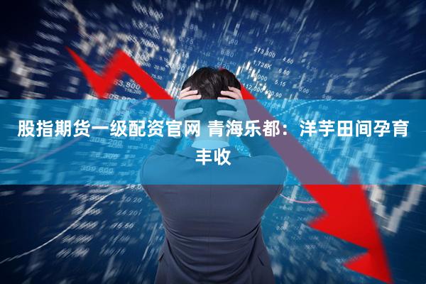 股指期货一级配资官网 青海乐都：洋芋田间孕育丰收