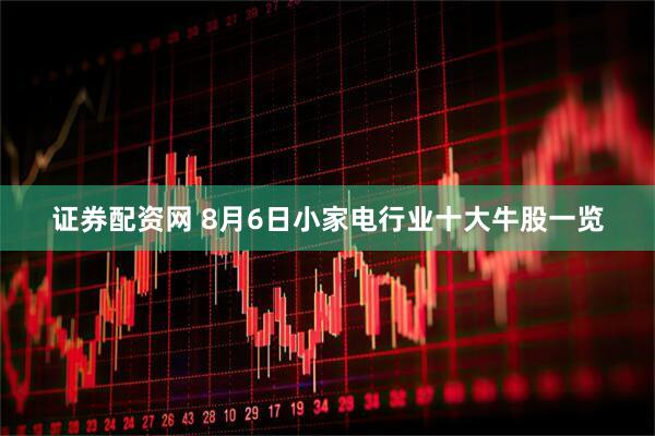 证券配资网 8月6日小家电行业十大牛股一览